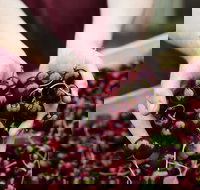 Yarra Valley Cherries - Tourism TAS