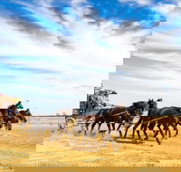 7 Day Outback Giants - Hobart Tourism