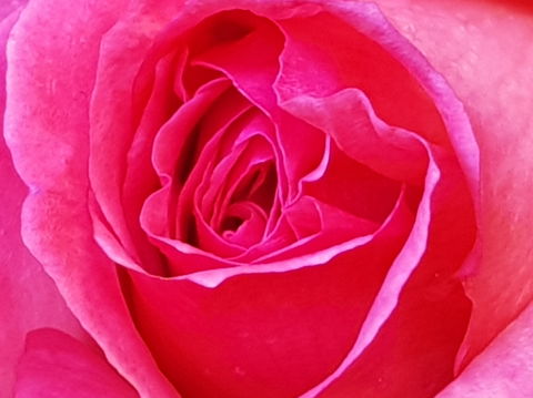 Abandon Stress Mobile Massage - Tourism TAS 0