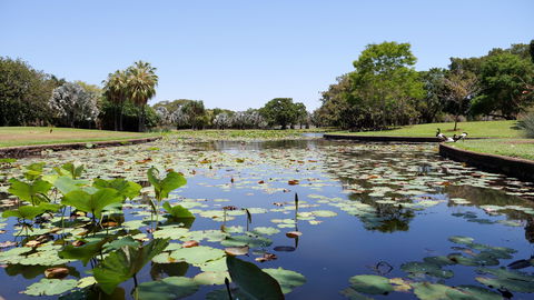 Anderson Park Botanic Gardens - Tourism TAS 0