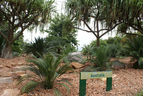Anderson Park Botanic Gardens - Tourism TAS 2