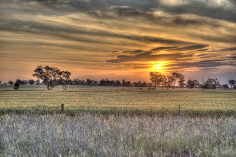 Ardlethan - Hobart Tourism 2