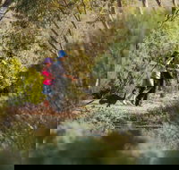 Australian Arid Lands Botanic Garden - Tourism TAS