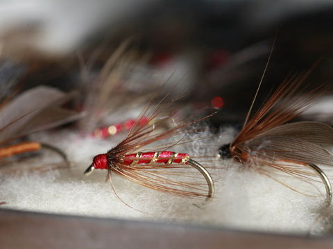 Australian Fly Fishing Museum - Tourism TAS 0