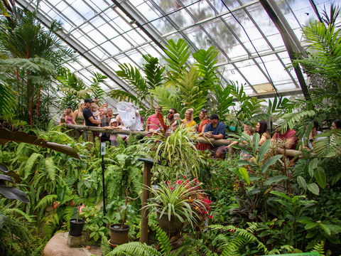 Australian Butterfly Sanctuary - Tourism TAS 2