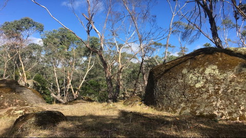 Bailey's Rocks - Dergholm State Park - Tourism TAS 0