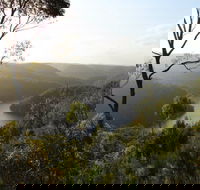 Berowra Valley National Park - Hobart Tourism
