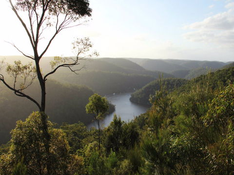 Berowra Valley National Park - Hobart Tourism 0