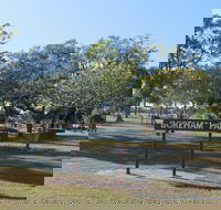 Boreham Park and Playground - Tourism TAS