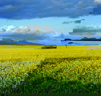 Borden - Tourism TAS