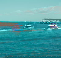 Bowen Creek Fishing - Tourism TAS