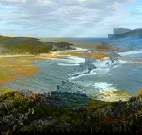 Bullimah Spur Track - Tourism TAS