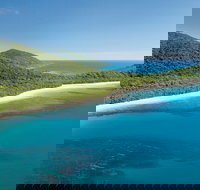 Cape Tribulation Daintree National Park - Hobart Tourism