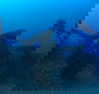 Cementco Dive Site - Tourism TAS