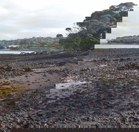 Churchill Island Marine National Park - Tourism TAS