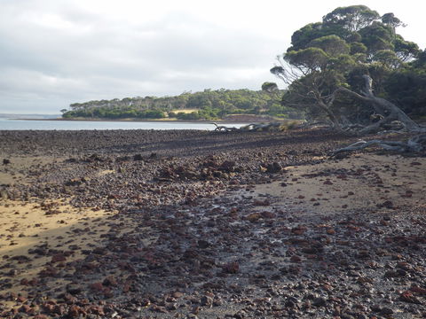 Churchill Island Marine National Park - Tourism TAS 0