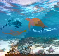 Coral Bay - Tourism TAS