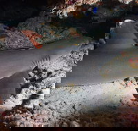 Coral Gardens - Tourism TAS