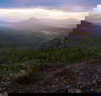 Cunninghams Gap and Spicers Gap Main Range National Park - Tourism TAS