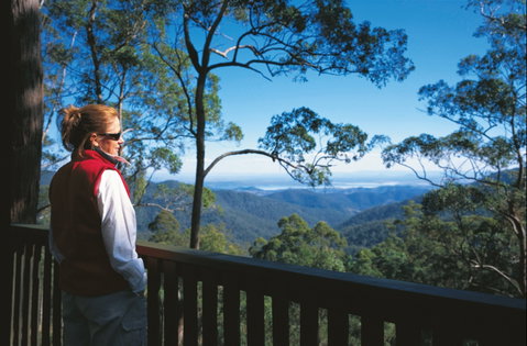 D'Aguilar National Park - Hobart Tourism 0
