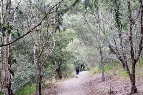 D'Aguilar National Park - Hobart Tourism 2