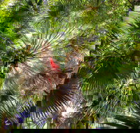 Depot Beach Rainforest Walk