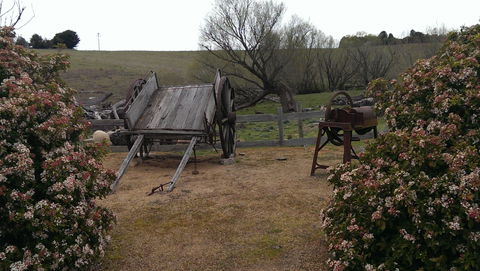 Early Settlers Hut - Tourism TAS 2