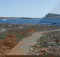 Elliston Coastal Trail - Tourism TAS