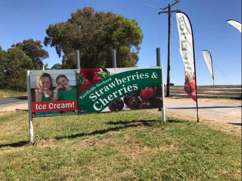 Fairfield Orchard - Tourism TAS 0