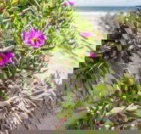 Fort Bribie - Tourism TAS