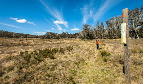 Goldseekers Track - Hobart Tourism 0