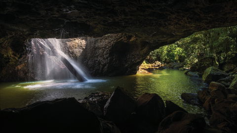 Gondwana Rainforests Of Australia World Heritage Area - Hobart Tourism 0