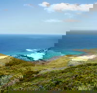 Governor Game Lookout - Tourism TAS