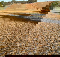 Gunning Golf Club - Hobart Tourism