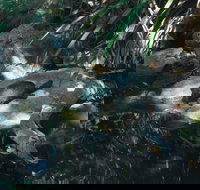 Howard Springs Nature Park - Tourism TAS