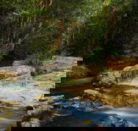 Jumrum Creek Walk Jumrum Creek Conservation Park - Tourism TAS