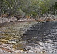 Lake Rowallan - Hobart Tourism