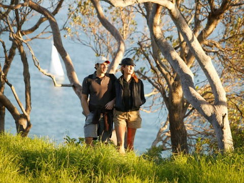Manly To Spit Bridge Scenic Walkway - Tourism TAS 2
