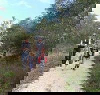 Meningie Lions Walking Trail - Tourism TAS