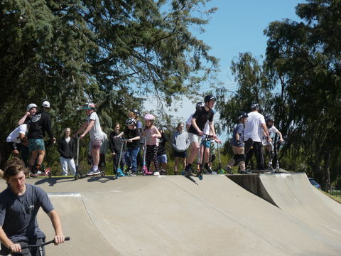 Millicent Skatepark - Tourism TAS 2