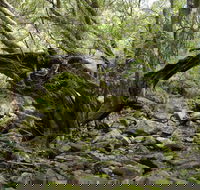 Mitchell River Walking Track - Hobart Tourism