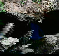 Natural Bridge Circuit Springbrook National Park - Hobart Tourism