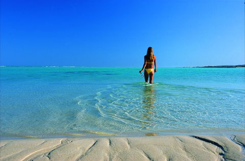 Ningaloo - Tourism TAS 1