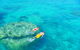 Ningaloo - thumb 2