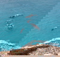 Nullarbor National Park - Tourism TAS