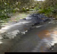 Nymboi-Binderay National Park - Tourism TAS