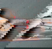 Phoenix Creations - Tourism TAS