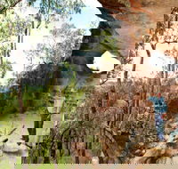 Pilliga Forest - Hobart Tourism