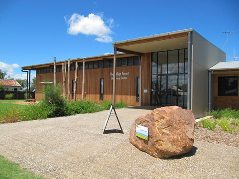 Pilliga Forest - Hobart Tourism 2