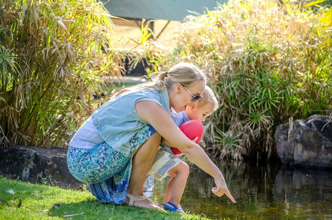 Queens Park Waterfall - Tourism TAS 2